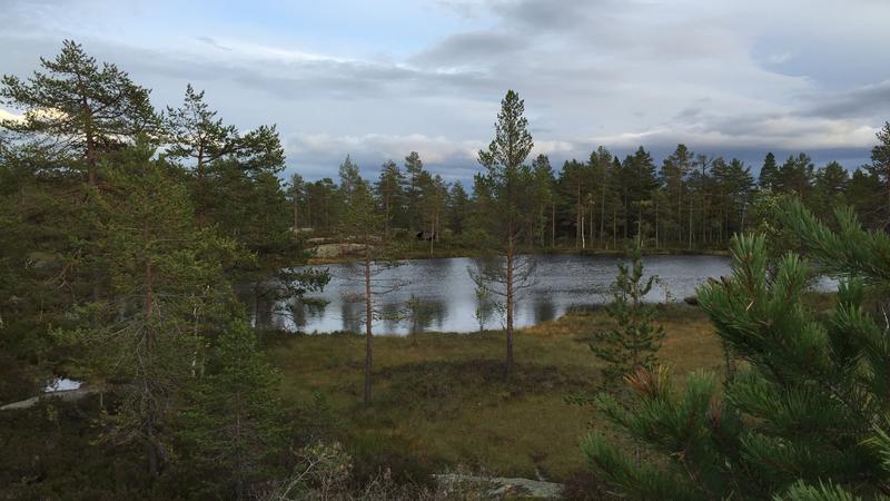 Kjøsterudjuvet 2015