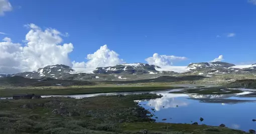 Skjeggete skogvandrers hemmelighet: Følg fjellvettreglene for en episk turopplevelse!